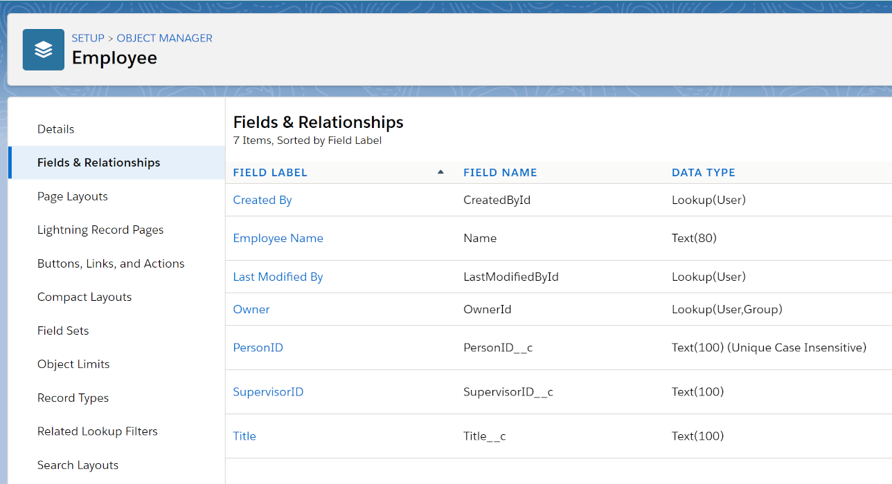 Salesforce_FieldsandRelationships.png